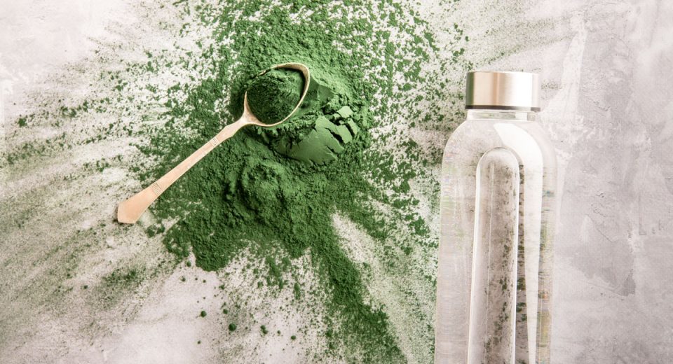 chlorella
