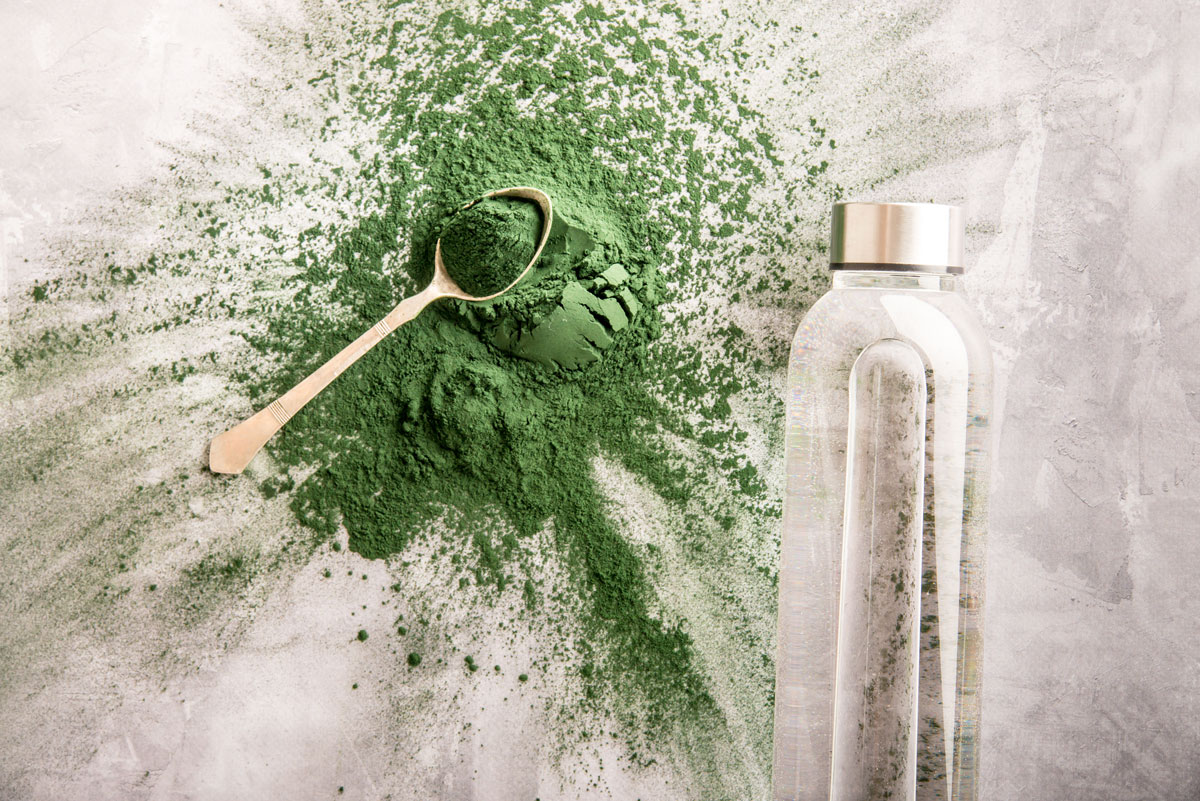 chlorella