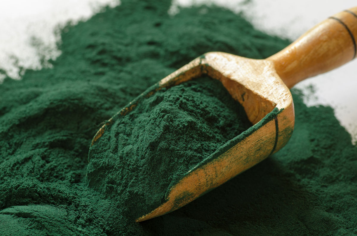 spirulina prášok