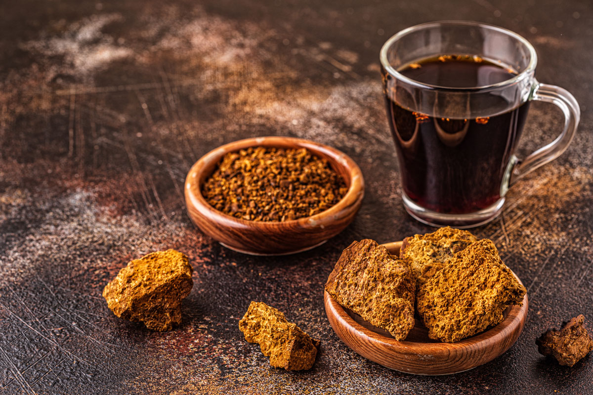 chaga, čaga