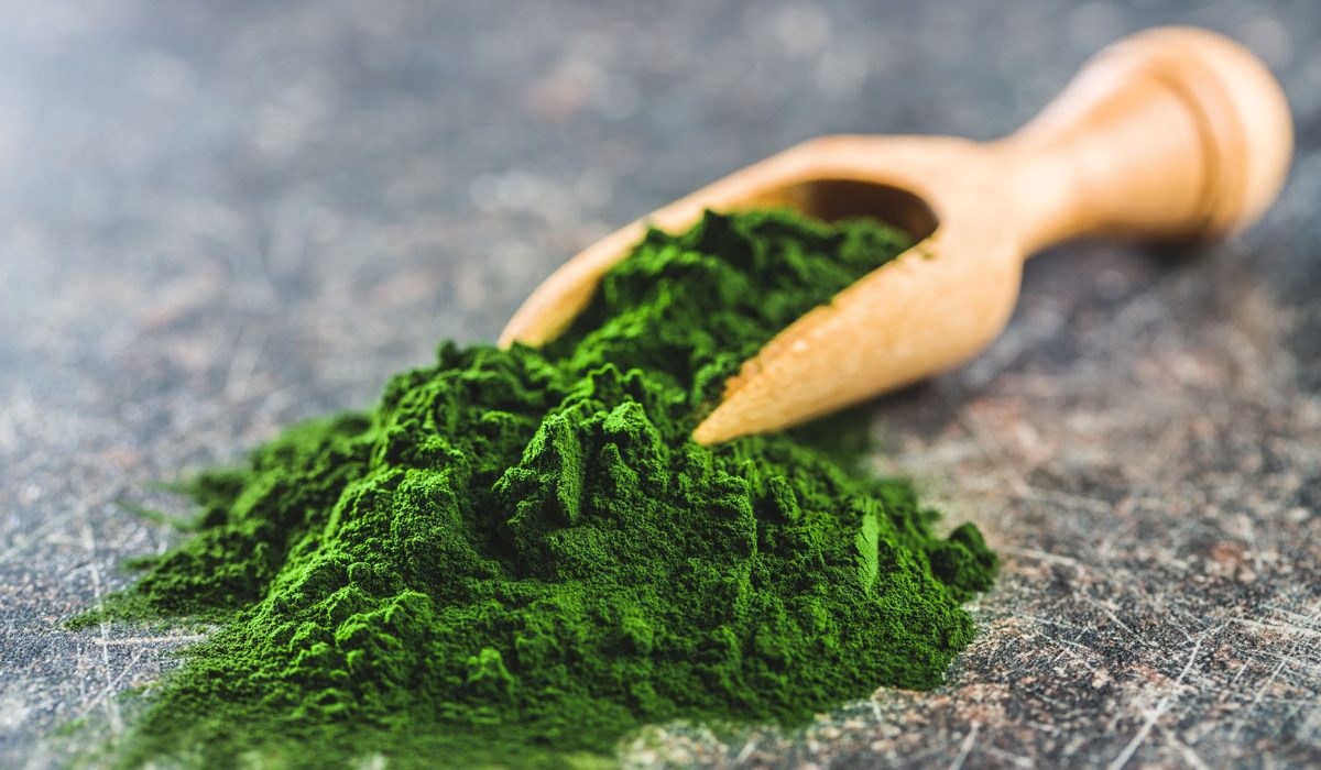 chlorella