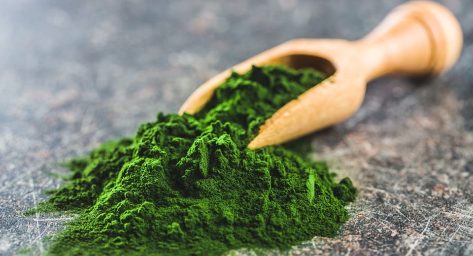 chlorella