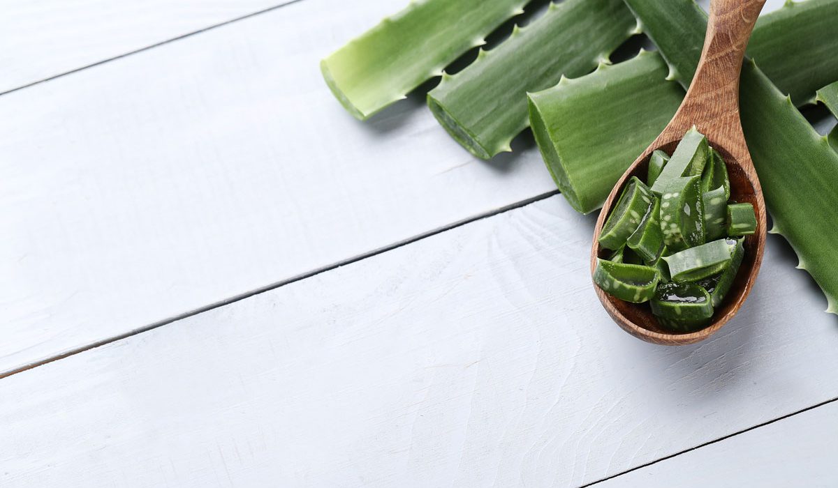 aloe vera