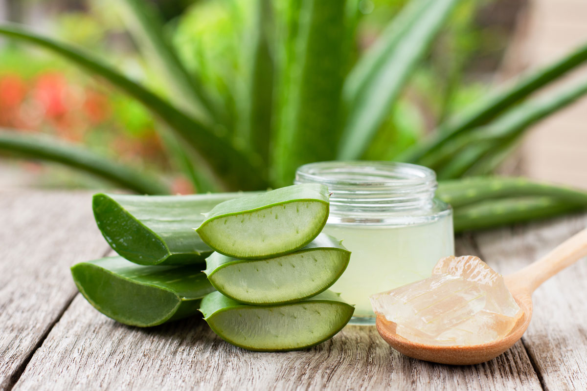aloe vera účinky